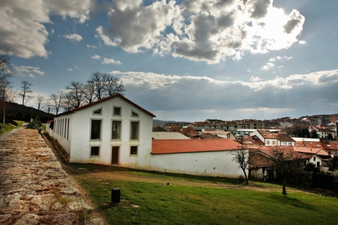 Centro Insercion Social